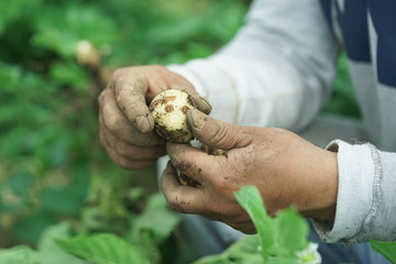 농부 자연 고집 유기농 무농약