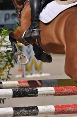 Im Detail, das Pferd im Sprung über die Hürde, von seitlich hinten
