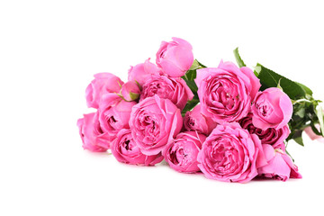 Fototapeta na wymiar Beautiful pink roses isolated on a white
