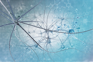 Neurons on the beatiful backdrop