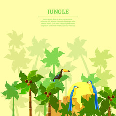 Jungle background beautiful jungle birds parrot toucan