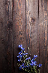 Blue cornflowers on old wood with scratches