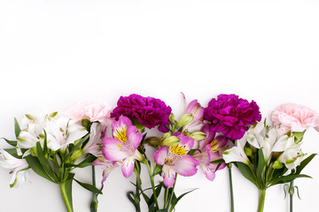 Pink and purple gillyflowers with alstroemeria on white backgrou