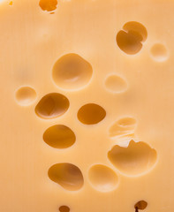 Background of fresh Swiss cheese