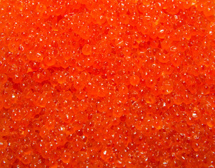 salmon caviar