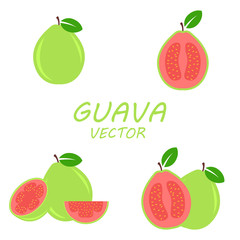 Vector flat Guava icons set