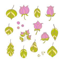 Collection of colorful doodle flowers and leaves