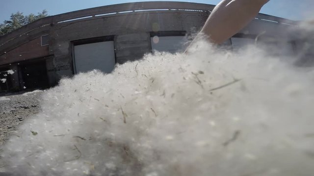 deliberate arson of the poplar fluff
