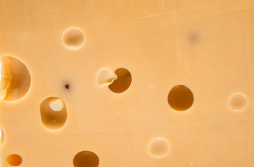 Background of fresh Swiss cheese