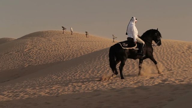 Arabian horse rider riding on desert in Dubai