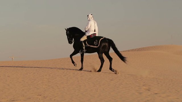 Arabian horse rider riding on desert in Dubai