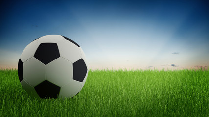 Naklejka premium Soccer Ball on Green Grass with Early Morning Sky