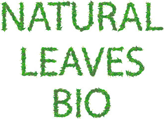 Natural,leaves,bio inscription of green leaves with drops