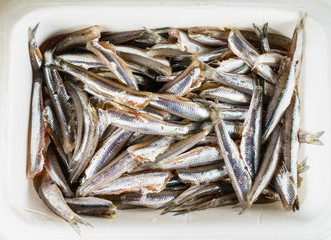 Close-up of pile of capelins