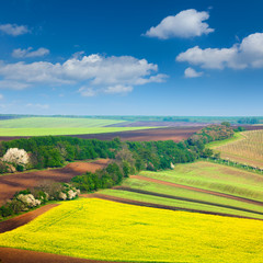 Fototapeta premium Сountryside Colorful Fields and Sky Background - nature landsca