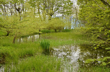 Marécage du mont Sec (massif de Belledonne)