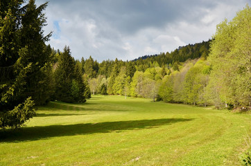 Fototapeta na wymiar Prairie de Girieux (massif de Chartreuse)