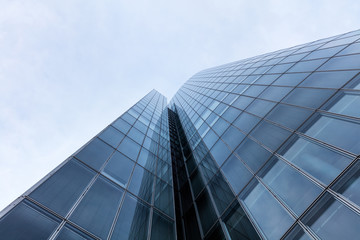 Fototapeta na wymiar Business building, office buildings. Modern glass silhouettes on