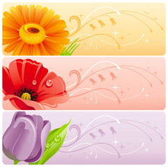 Summer flowers banner set with natural background. Gerbera daisy, red poppy, violet tulip for invitation design - wedding card, birthday, bridal shower, mothers day and more.