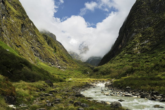 Modi Khola Valley, Annapurna Sanctuary, Annapurna Conservation Area, Gandaki, Western Region (Pashchimanchal), Nepal