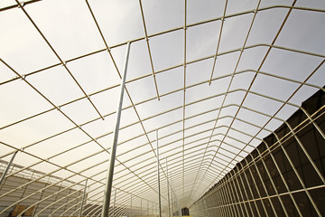 Is constructing the modern shed vegetables