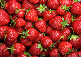 Strawberry background.  Red ripe organic strawberries on market