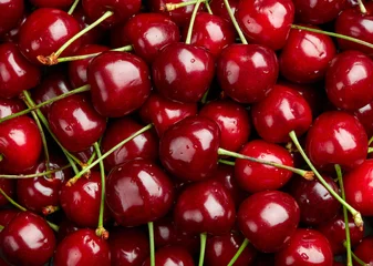 Ingelijste posters Cherry Background.  Sweet organic cherries © SJ Travel Footage