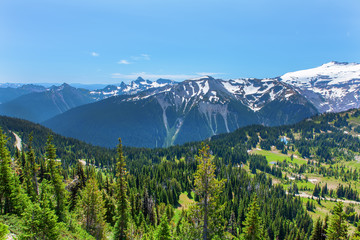 Summer Hike at Mount Rainier National park with view of Mt.Rainier.
