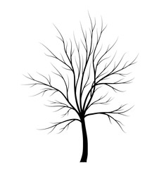 Obraz premium Tree silhouette isolated on white background