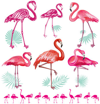 Set of pink flamingoes