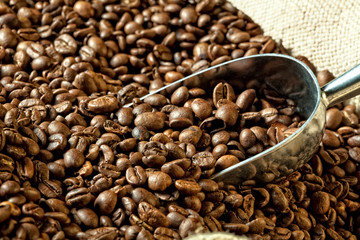 Fototapeta premium coffee beans jute bag metal scoop. aroma, beverage, natural