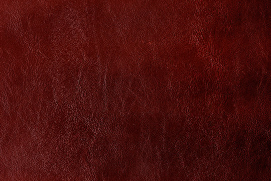 94,200+ Red Leather Stock Photos, Pictures & Royalty-Free Images