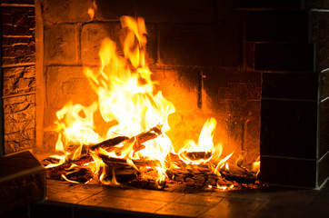 Fire burns in a fireplace  