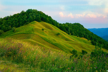 Fototapeta na wymiar landscape from romanian countryside