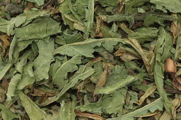 Organic dry green True comfrey (Symphytum officinale) leaves. Macro close up background texture. Top view.