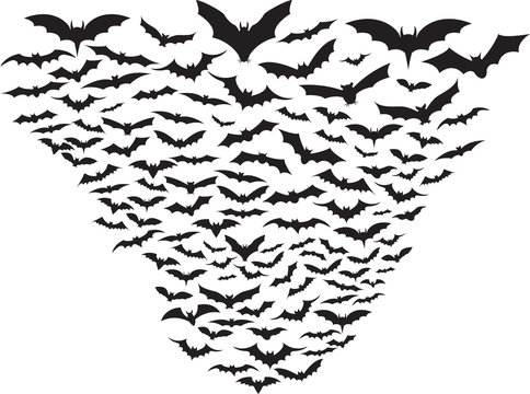 Set of bats flying isolated on white