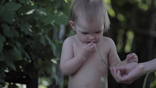 Kid Tries of Fresh Green Onions