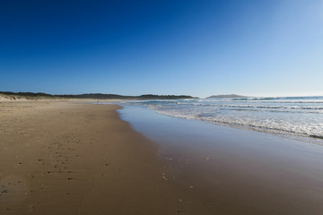 Obraz premium summer morning on the beach