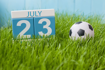 July 23rd. Image of july 23 wooden color calendar on greengrass lawn background. Summer day, empty space for text