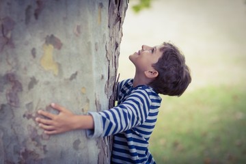 Boy hugging tree trunk in park