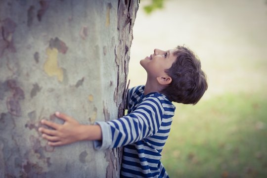 Boy hugging tree trunk in park