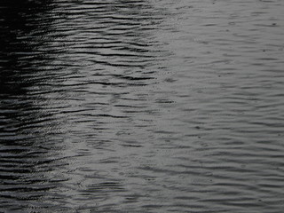 Drops on the river