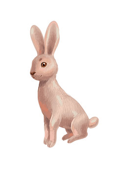 Hand-drawn sketch of brown rabbit isolated on white, sitting and