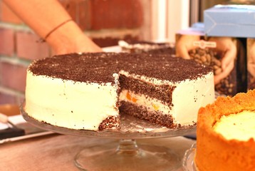 Fresh cake from cream, apricots and poppy seeds