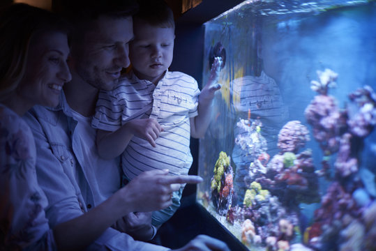 Family day at the aquarium