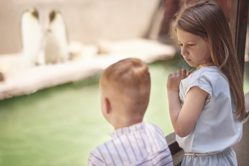 Little kids looking on sweet penguins