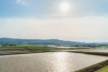 Fototapeta na wymiar The sun and the rice paddies
