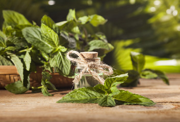 Mint Essential Oil