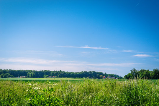 Summer landscape with rural fields