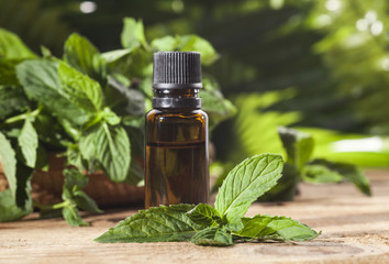 Mint Essential Oil